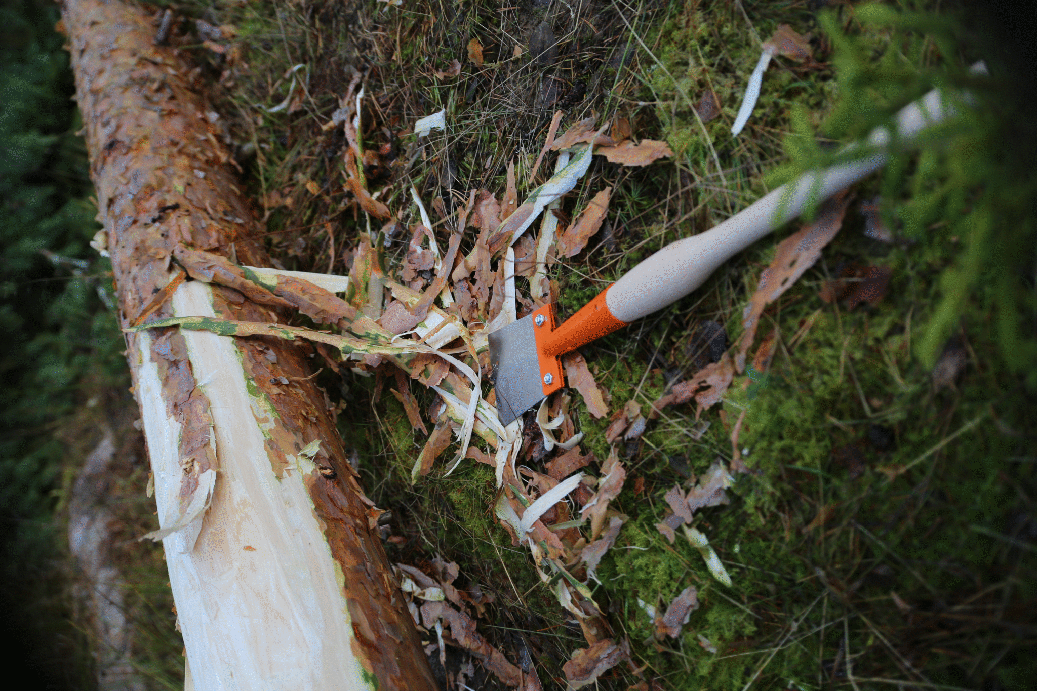 Bahco Barkspade, komplett med skaft - Bild 4
